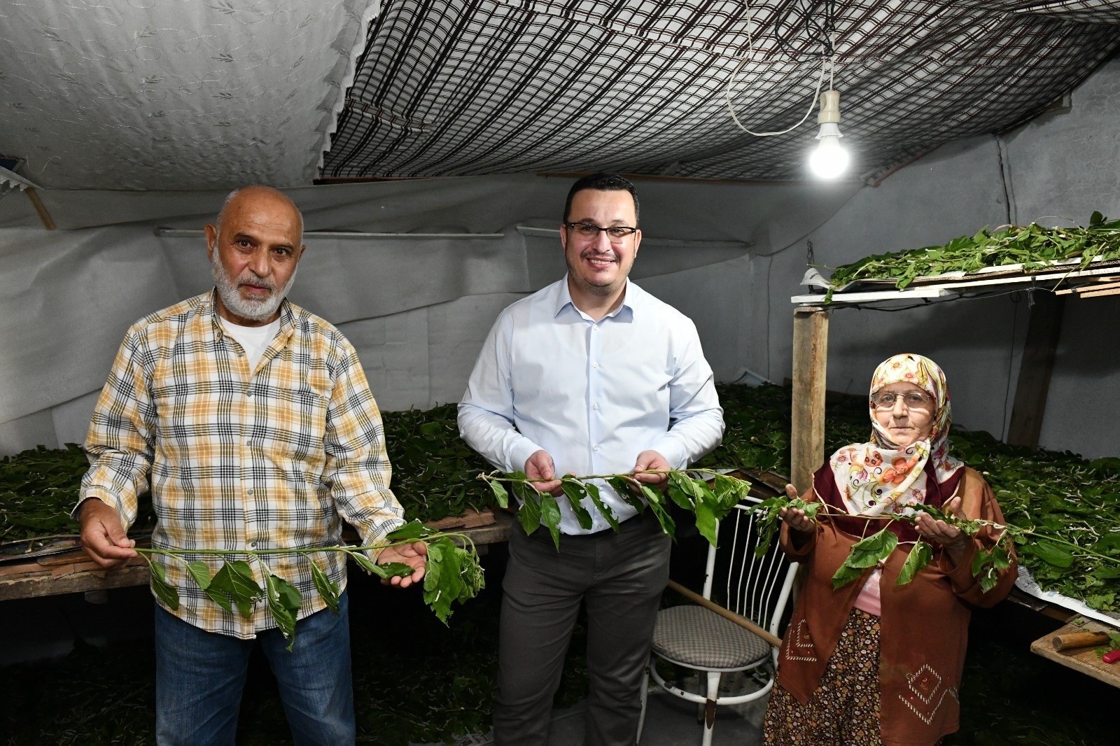 1 Kutu İpekböceği İle 40 Günde 4 Bin Tl Gelir