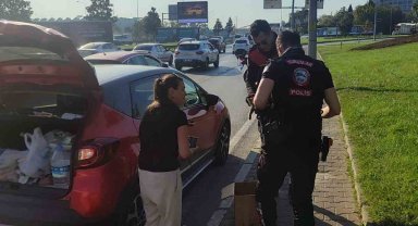 Bursa'da trafikte yavru kedi alarmı..Polisler 4 araca giren kediyi kurtardı