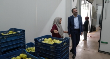 Hayriye teyze Gürsu armudu ile girişimci oldu
