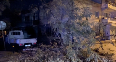 Bursa'da şiddetli rüzgar ağacı devirdi, yol kapandı