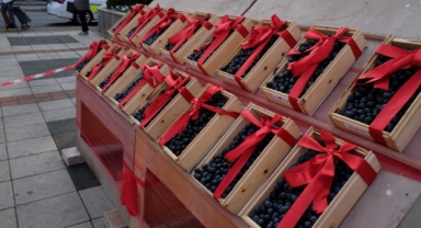 Orhangazi Zeytin Festivali kutlandı