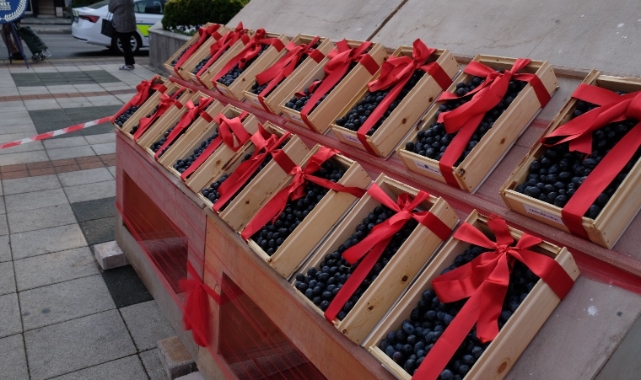 Orhangazi Zeytin Festivali kutlandı