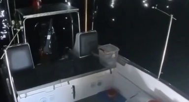 Tekneden balık çalan su samuru kameraya yakalandı