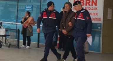 Yasadışı kenevir yetiştiren 73 yaşındaki şahıs yakalandı