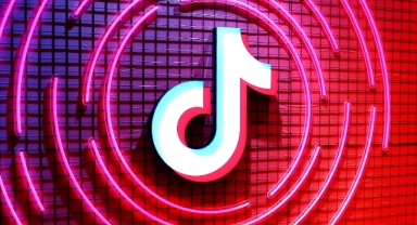 TikTok'a Kritik Engel!