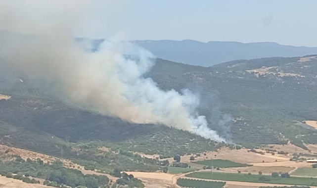 Kestel'de aynı ormanın aynı yerinde yeniden yangın başladı