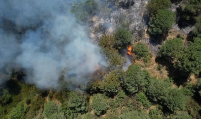 Sultangazi Kent Ormanı’nda yangın: İtfaiye ekipleri alevlere müdahale ediyor