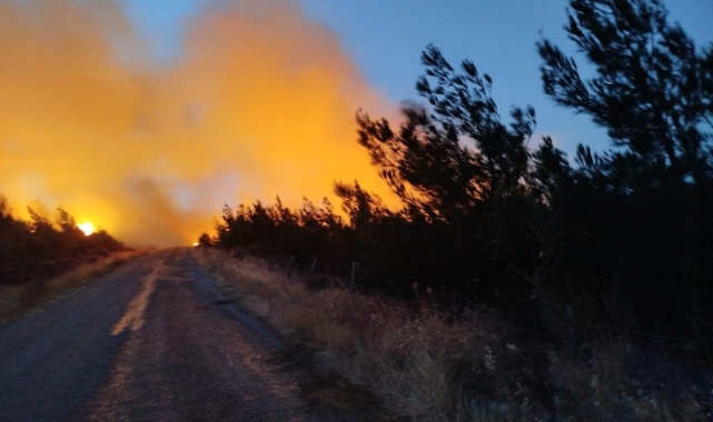 Bayramiç'teki yangını söndürme çalışmaları aralıksız sürüyor