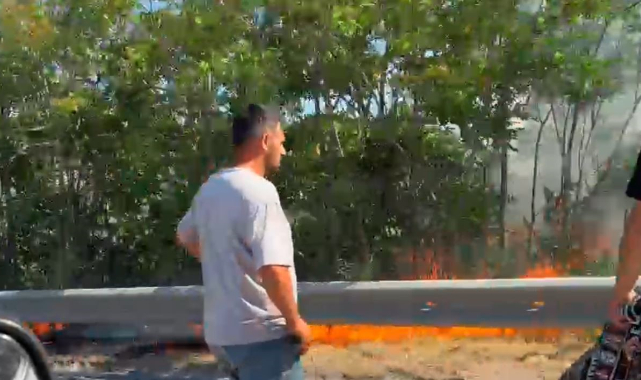 Bursa-İzmir-İstanbul otoyolunda yangın