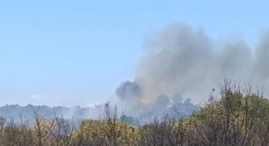 Bursa Nilüfer’deki orman yangını kontrol altına alındı