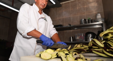 Gazi Tarım’da hasat başladı