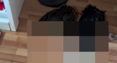 İnegöl’de küçükbaş ve büyükbaş hayvan katliamı