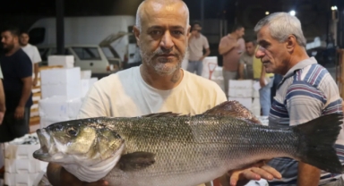 Akdeniz'de Av Sezonu Açıldı: Balıkçılar “Vira Bismillah” Dedi