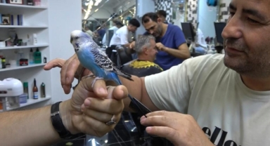 Bursa Kapalı Çarşı'nın Maskotu: Sahibinin Omzundaki Muhabbet Kuşu Müdür