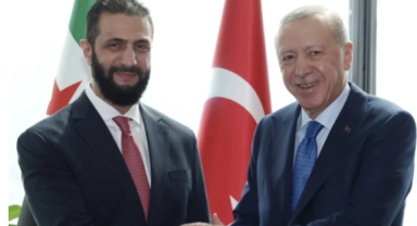 Cumhurbaşkanı Erdoğan, Suriye Cumhurbaşkanı Ahmed Şara ile görüştü