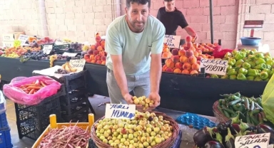 Kütahya Pazarında Kalp Dostu “Doktor Hünnap” Meyvesi