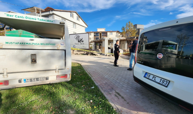 Bursa’da 65 yaşındaki bekçi şantiyede ölü bulundu