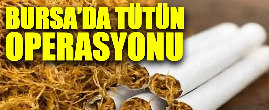 Bursa'da 750 Kilogram Kaçak Tütün Ele Geçirildi