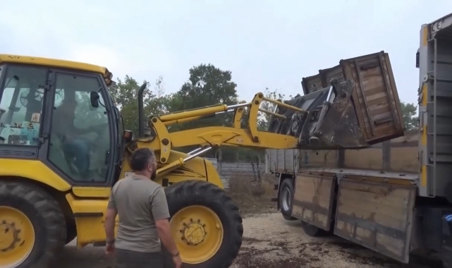 Bursa'daki 3 Kızıl Geyik, Doğal Yaşam Alanına Kavuştu