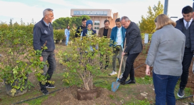 BUÜ’nün “50. Yıl Sokağı” fidanlarla renklendirildi