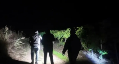 Pamukova Üzüm Üreticileri Hırsızlığa Karşı Gece Gündüz Nöbet Tutuyor