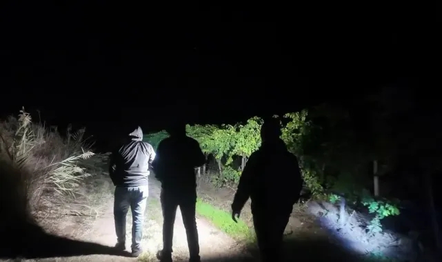 Pamukova Üzüm Üreticileri Hırsızlığa Karşı Gece Gündüz Nöbet Tutuyor