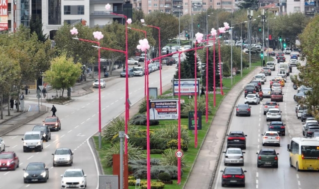 UEDAŞ’tan Meme Kanserine Karşı “Pembe Lambalar” Farkındalık Projesi