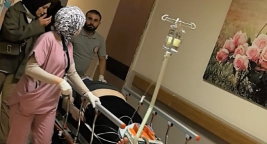 Bursa’da Ağaca Çıkmak İsterken Düşen Adam Ağır Yaralandı