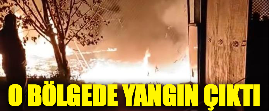 Bursa’da Trafoda Çıkan Yangın Meyve Kasalarına Sıçradı