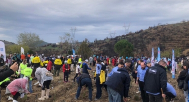 Bursa'da Yanan Ormanlar Milli Ağaçlandırma Günü'nde Yeniden Yeşeriyor