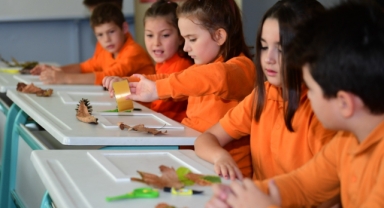 Dökülen Yapraklar Sanata Dönüştü: Osmangazi’de Miniklerden Renkli “Herbaryum” Etkinliği