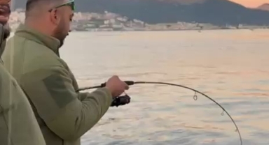 Gemlik Körfezi’nde balıkçıların oltasına köpek balığı takıldı