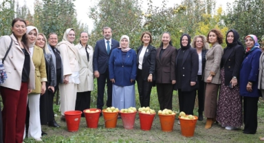 Gürsu’da kadınlar aynı tarlada birleşti: “Bizim elimiz armut toplar!”