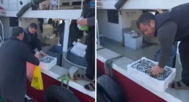 Kasalar Dolusu Balığı Bedava Dağıttılar! Nedeni de Bir O Kadar İlginç