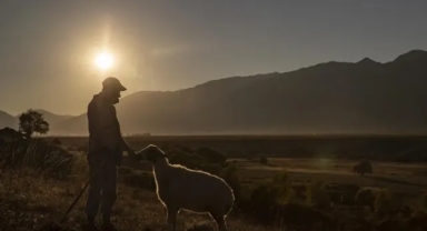 Kırsal Nüfusu Artırmak İçin Yeni Tedbirler Geliyor