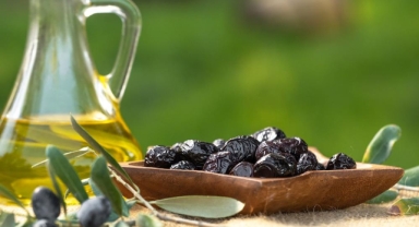 Marmarabirlik’ten Üreticilere 761 Milyon Liralık İkinci Dilim Ödeme