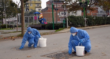 Osmangazi'de Kemirgenlere Karşı Kapsamlı İlaçlama Başladı