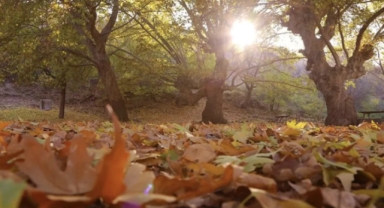 Türkiye Genelinde Yazdan Kalma Günler Devam Ediyor: Sıcak Hava Etkisini Sürdürecek
