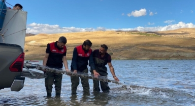 2025’te Deniz ve İç Sulara 83 Milyon Balık Bırakıldı