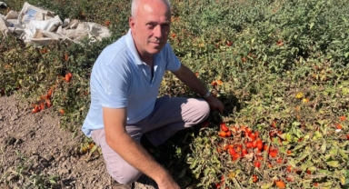 Adı Seçim, Hikâyesi Sandıktan