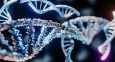 Bilim Dünyası Tartışıyor: Y Kromozomu Yok Mu Oluyor?