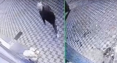 Bursa’da Pazar Arabası Hırsızlığı Kamerada: Vatandaş Tepkili