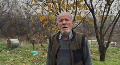 Bursa’da Zirai İlaç Faciası: Milyonlarca Arı Bahçede Can Verdi