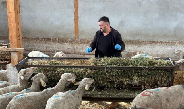Bursa Yenişehir’de Şap Hastalığı Sonrası Üreticiler Destek Bekliyor