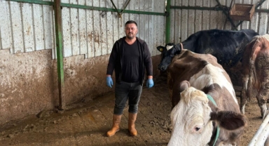 Bursa Yenişehir’de Şap Vurgunu