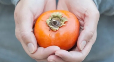 Cennet Hurması Kış Aylarının Şifa Kaynağı