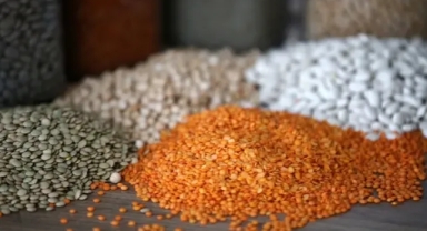 Güneydoğu Anadolu’nun İhracatı 3,2 Milyar Dolara Ulaştı