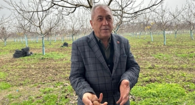 İnegöl’de 20 Yılda Ceviz Atağı