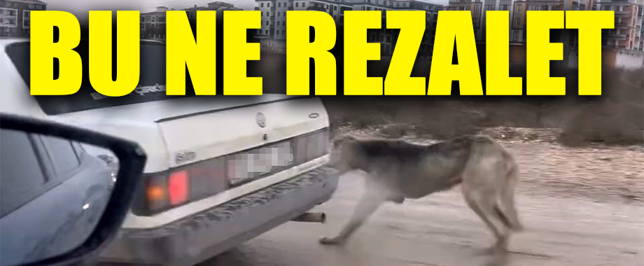 İnegöl’de Köpeği Aracın Arkasına Bağladı, Tepki Yağdı