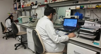 KKKA Aşısında Klinik Öncesi Çalışmalar Tamamlandı